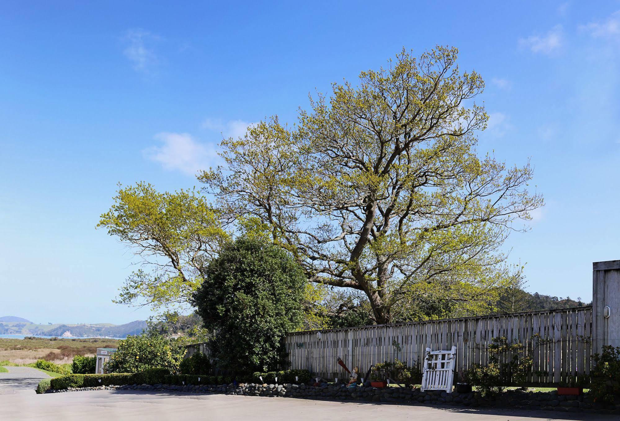 Abbey Court Motel Coromandel Екстер'єр фото