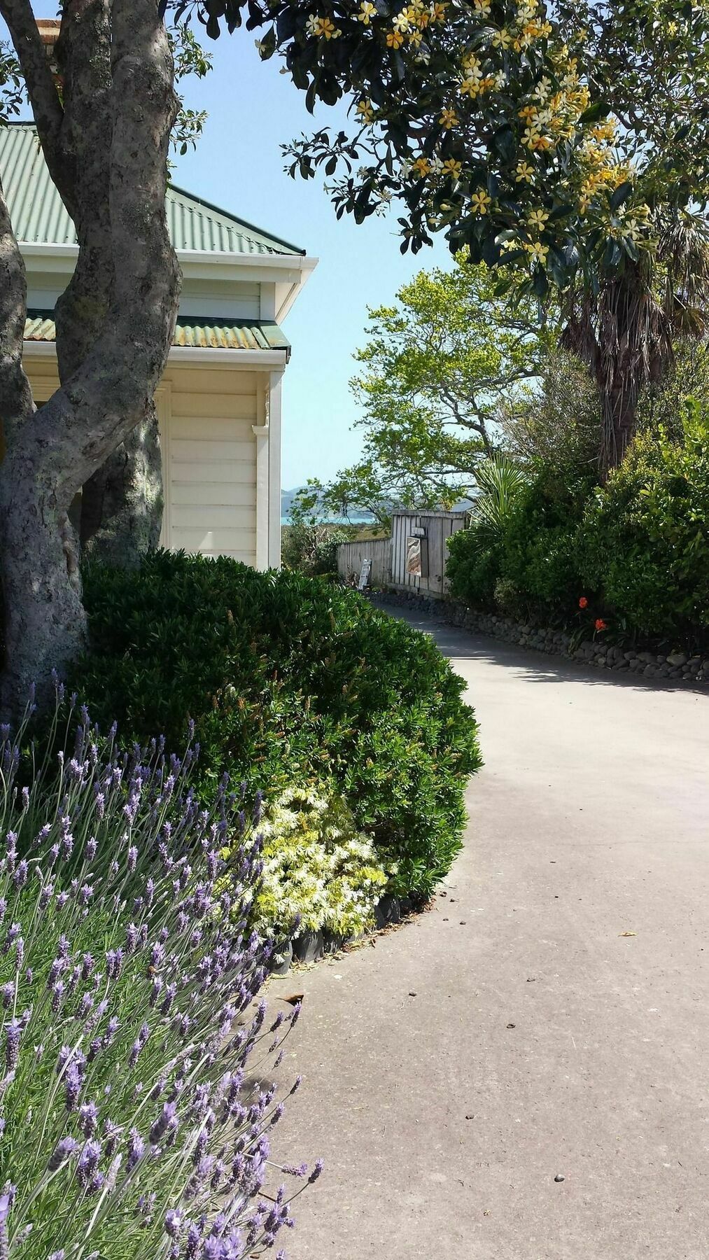 Abbey Court Motel Coromandel Екстер'єр фото